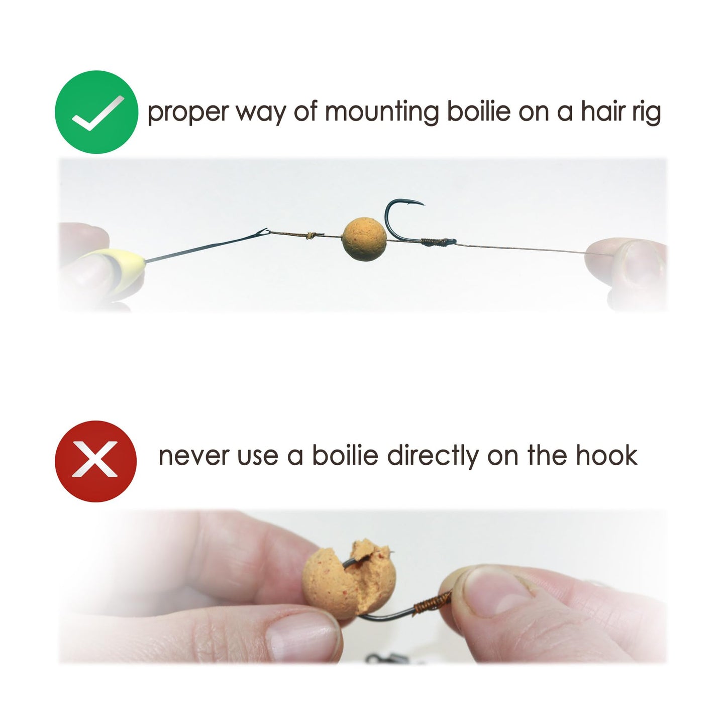 WCB Carp Baits High Protein Boilies 16 mm 1 lb Bag - Carp Fishing Bait - Ideal for Carp Fishing (Flavor: Carp Candy)