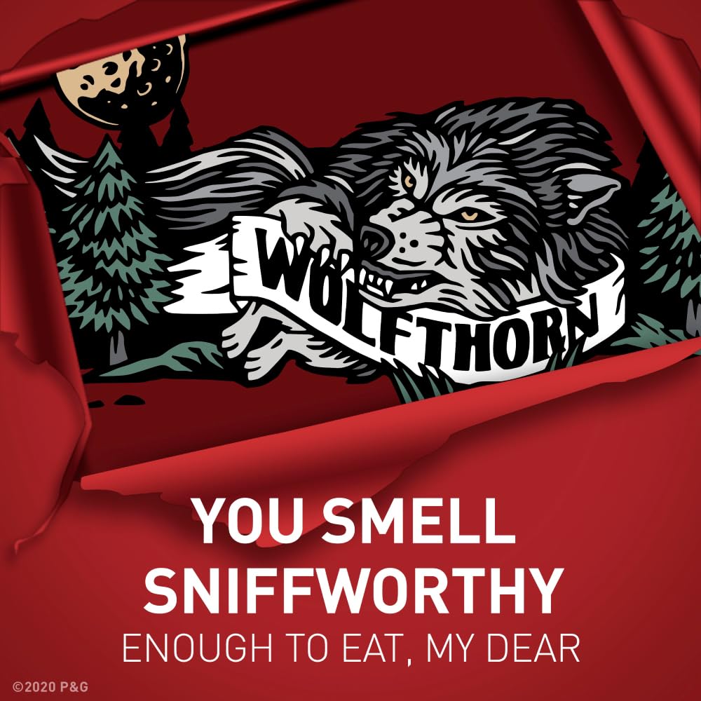 Old Spice Wild Collection Wolfthorn Scent Men's Invisible Solid Antiperspirant Deodorant 2.6 Ounce (Pack of 4)