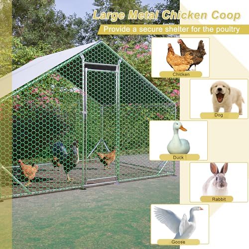 Metal Chicken Coop 10x6.6x6.56ft Walk-in Poultry Cage for 5/10 Chickens Chicken Run Hen Rabbit Duck House with Waterproof Cover for Outdoor Farm Use