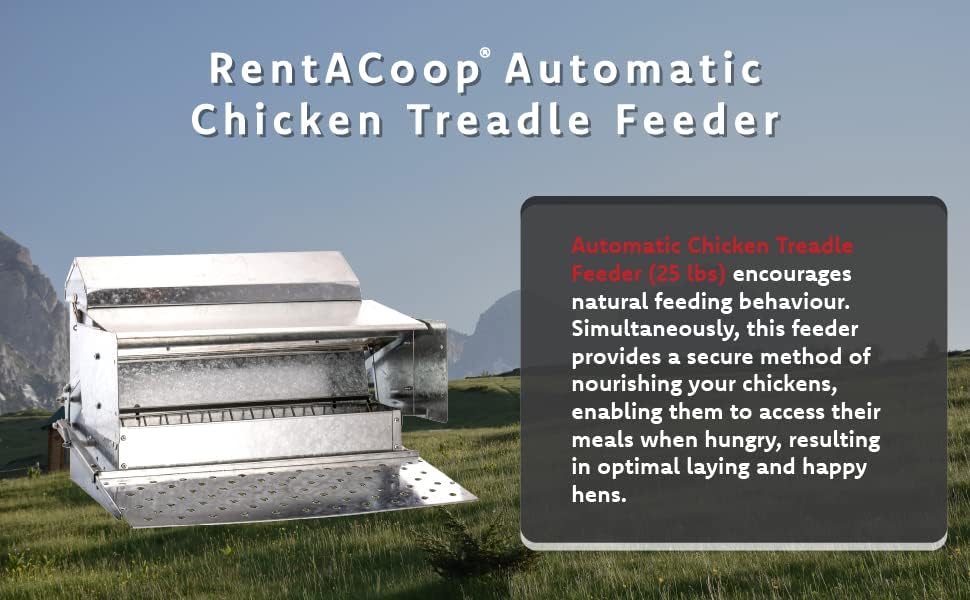 RentACoop Automatic Metal Treadle Feeder - Outdoor Use, Rainproof - Suitable for Chicken, Bantams, Poultry, Pheasants, etc. - 25lb Capacity
