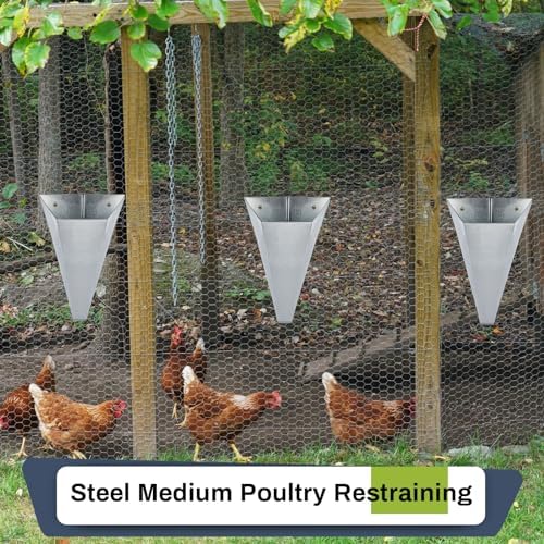 Mumufy 4 Pcs Medium Galvanized Steel Poultry Restraining Cones Flat Back Funnel Cone, up to 10 Pounds, Chicken Killing Cone for Butchering Chicken Birds Turkeys, Easy to Clean