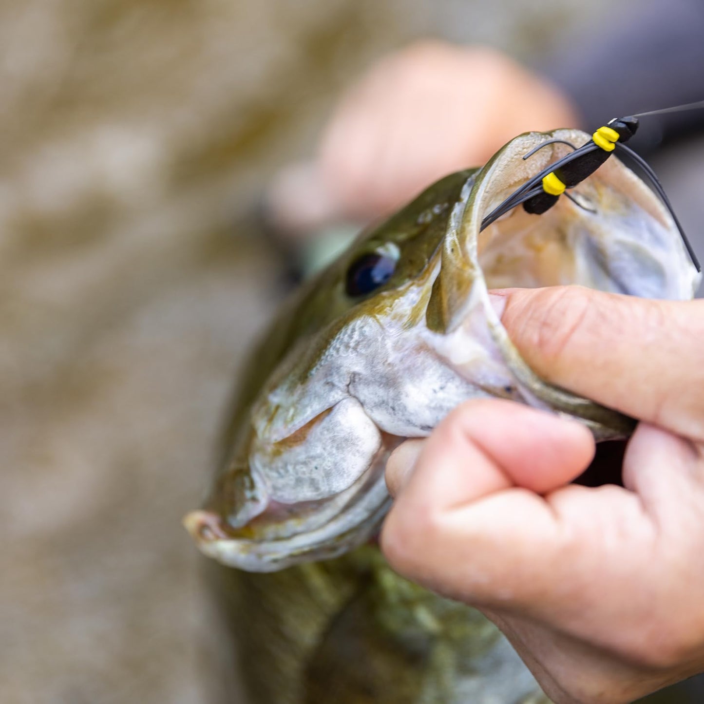 SF Welded Tapered Leader Fly Fishing with Loop Nylon 7.5ft Fishing Leader (6X 6 Pack)