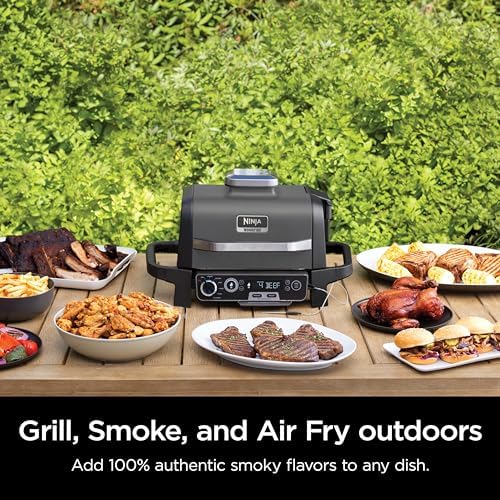 Ninja OG751 Woodfire Pro Outdoor Grill Built-In Thermometer,7-in-1 Master Grill,BBQ Smoker,& Outdoor Air Fryer Plus Bake,Roast,Dehydrate & Broil,Woodfire Technology,Weather-Resistant,Grey XL