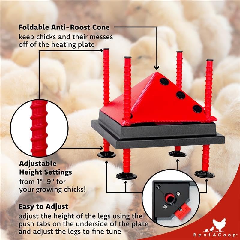 RentACoop 10x10 Inch Adjustable Heating Plate with Bonus Foldable Anti-Roost Cone for up to 15 Chicks | Small Chick Brooder Heat Plate – Energy-Efficient and Safer Than Heat Lamps