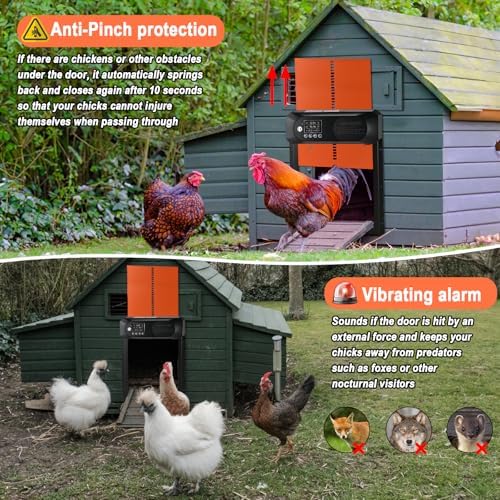 Automatic Chicken Coop Door, Solar Chicken Door with Timer, Waterproof LED Display, Light Sensor, 25M Remote Control, 4 Modes & Anti-Pinch, Large Electric Chicken Coop Door for Chicken Poultry