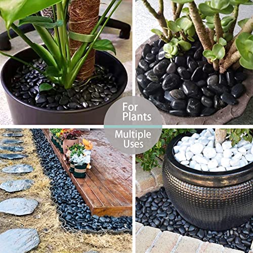 Black River Rocks - Large Polished Black Pebbles for Plants & Garden Decorative Stones, 1-2 Inch, 15 Pound