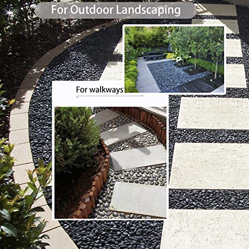 Black River Rocks - Large Polished Black Pebbles for Plants & Garden Decorative Stones, 1-2 Inch, 15 Pound