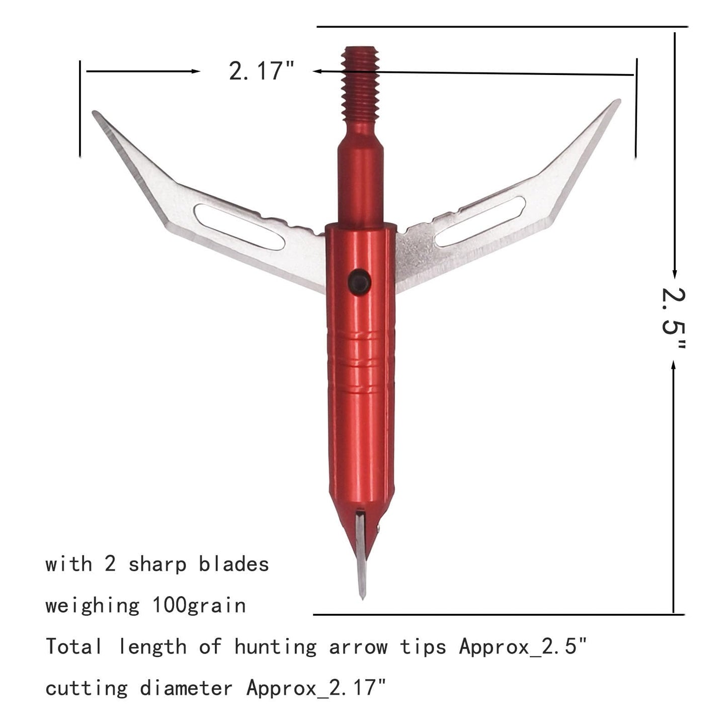 LeeMui Hunting Broadheads 100 Grain Stainless Steel Archery Broadheads Blades Grain Screw-in Arrow Heads Tips Compatible with Traditional Bows Archery Broad Crossbow Recurve