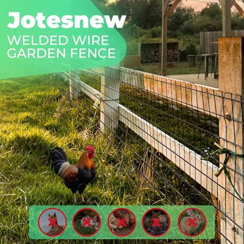 Garden Fence Black PVC Coated Welded Wire Fencing 48 Inch x 50 Foot, 2 Inch x 3 Inch 16GA, Garden Border Fencing Roll Vinyl Coating Metal Wire Mesh for Yard Vegetable Plant Protection Poultry Netting