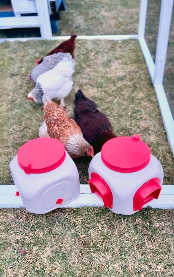 OverEZ Compact Chicken Feeder - Holds 25 Pounds of Feed - Inside or Outside Hen Coop - Large Gravity Fed Automatic Poultry Food Dispenser - No Waste Rainproof Design