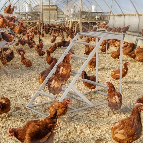 Chicken Coop, Chicken Perches with Swing, Chicken Roosting Bars, Chicken Activity Play Toys, Wooden Chicken Ladder for Pet's Healthy & Happy, Suitable for Backyard Farm