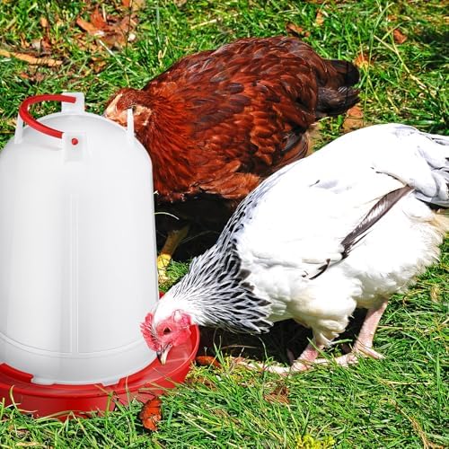 Pickmesh 2 Pcs 2 Gallon Plastic Poultry Drinker Poultry Waterer Automatic Chicken Water Feeder Fed Water Container Jar for Duck Baby Chicks Rabbit Turkeys Outdoor Farm