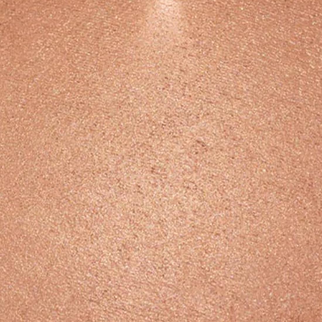 Palladio Baked Bronzer, Highly Pigmented and Easy to Blend, Shimmery Bronzed Glow, Use Dry or Wet, Lasts all day long, Provides Rich Tanning Color Finish, Powder Compact, Pacific Tan
