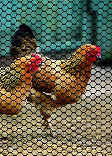 Tenax 72120546 Hex Poultry Fence, 3' x 25' Black