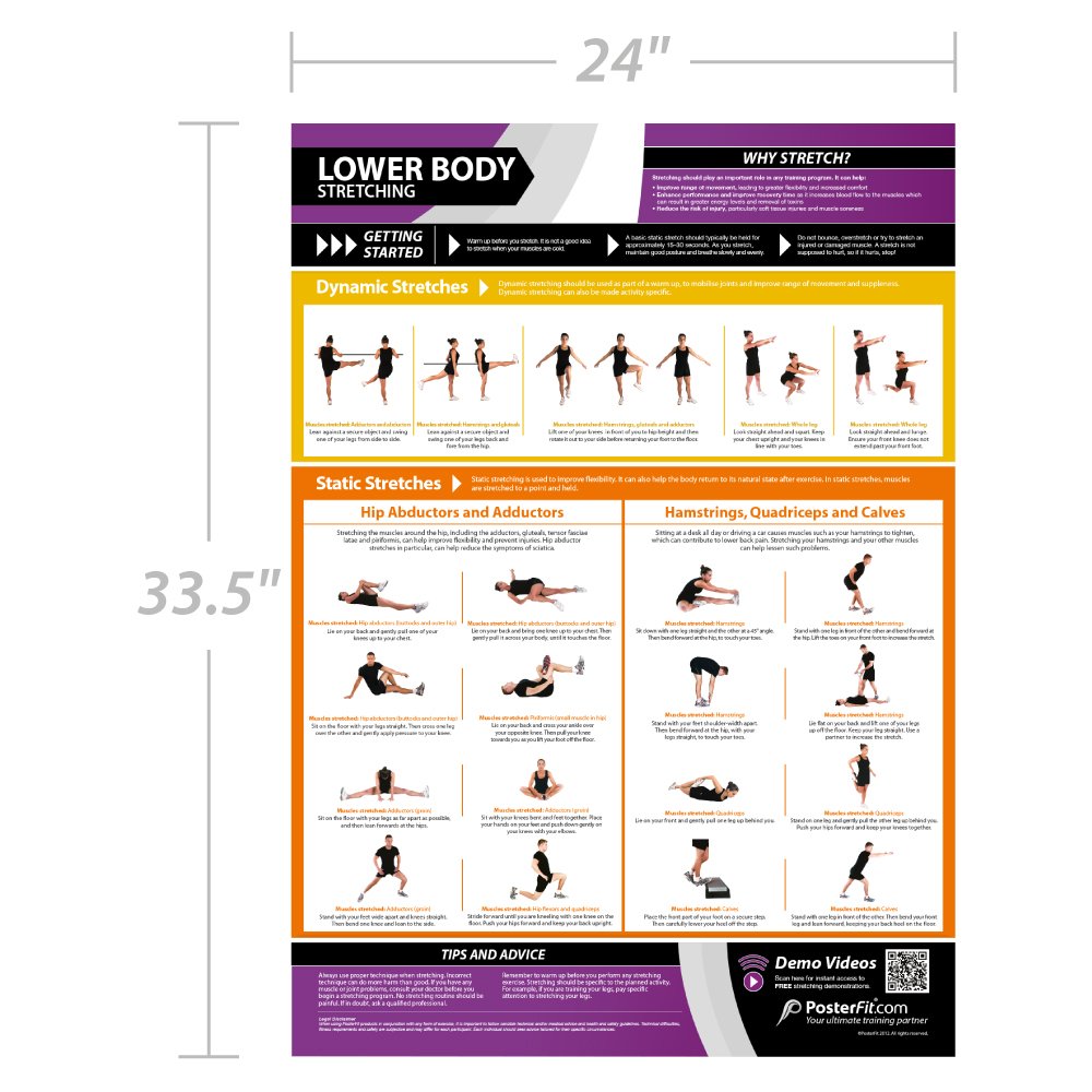 Lower Body Dynamic & Static Stretching Poster - EXTRA LARGE - 33” x 23.5” - Laminated - Home & Gym Workout Poster - Includes Online Video Training Support - Gym Charts by Posterfit.