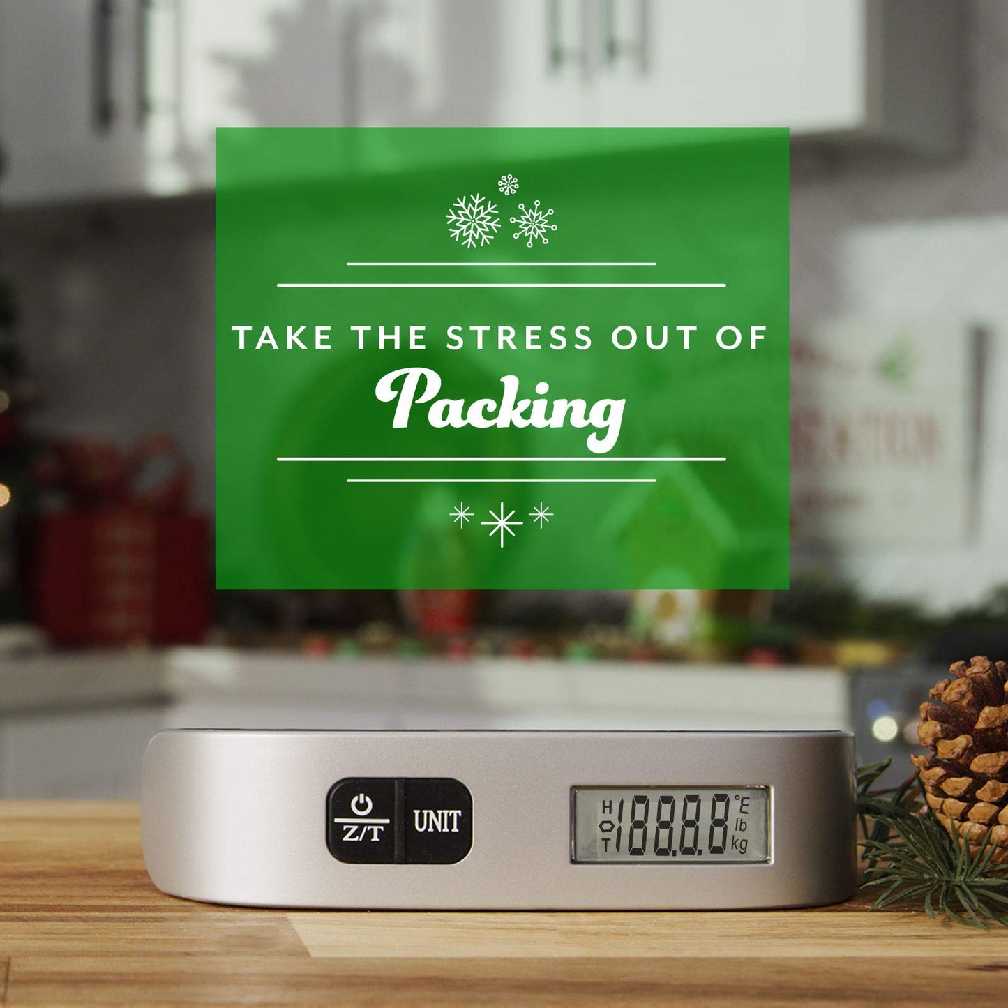 Etekcity Luggage Scale, Travel Essentials, Digital Suitcase Weight Scales for Travel Accessories, Hanging Baggage Scale with hook, 110 Pounds, Battery Included, Silver