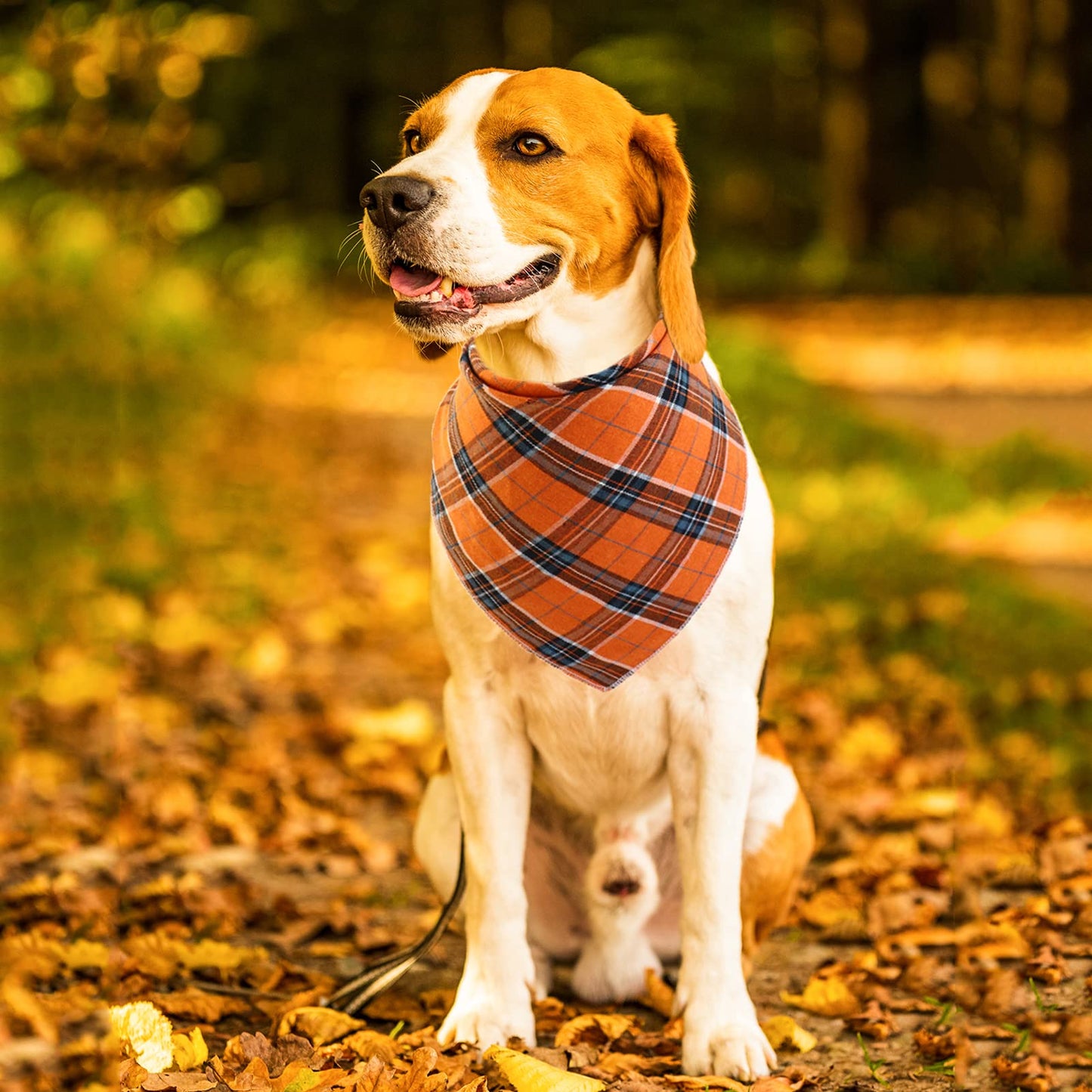 YUANKEXIANG Fall Bandana for Dogs 2 Pack - Christmas Pet Triangle Scarf Classic Plaid Reversible Bibs Kerchief Saliva Towel Set Pet Costume Accessories for Small Medium Large Dogs Cats