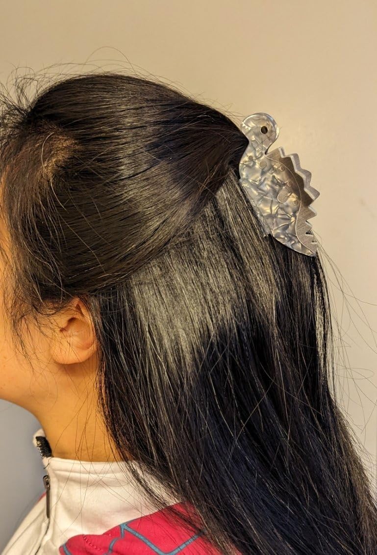 QGMZTNL Gray Dinosaur Hair Clip - Ankylosaurus Hairpin - Medium Size - Fun Hair Decoration for Women