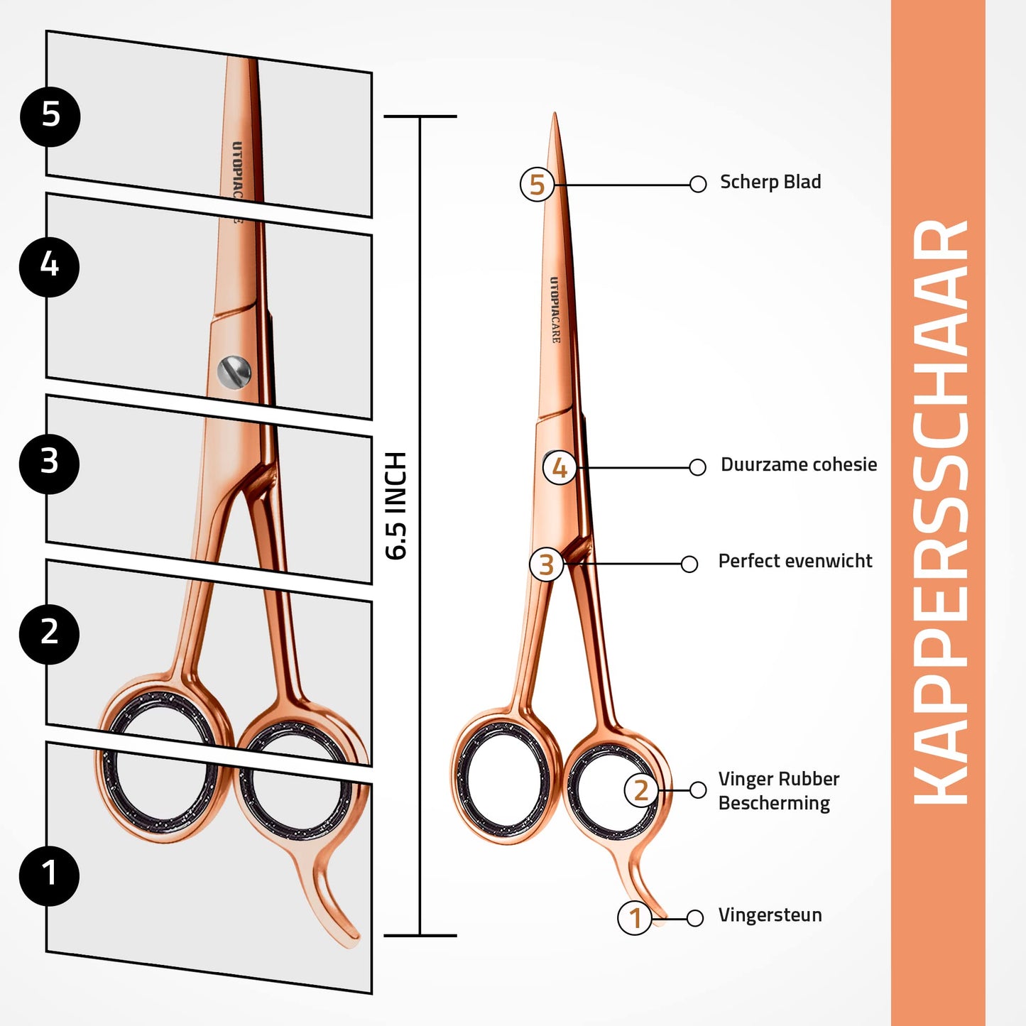 Utopia Care Hair Cutting and Hairdressing Scissors 6.5 Inch, Premium Stainless Steel Shears with Smooth Razor and Sharp Edge Blades for Salons, Men, Women and Kids, Rose Gold