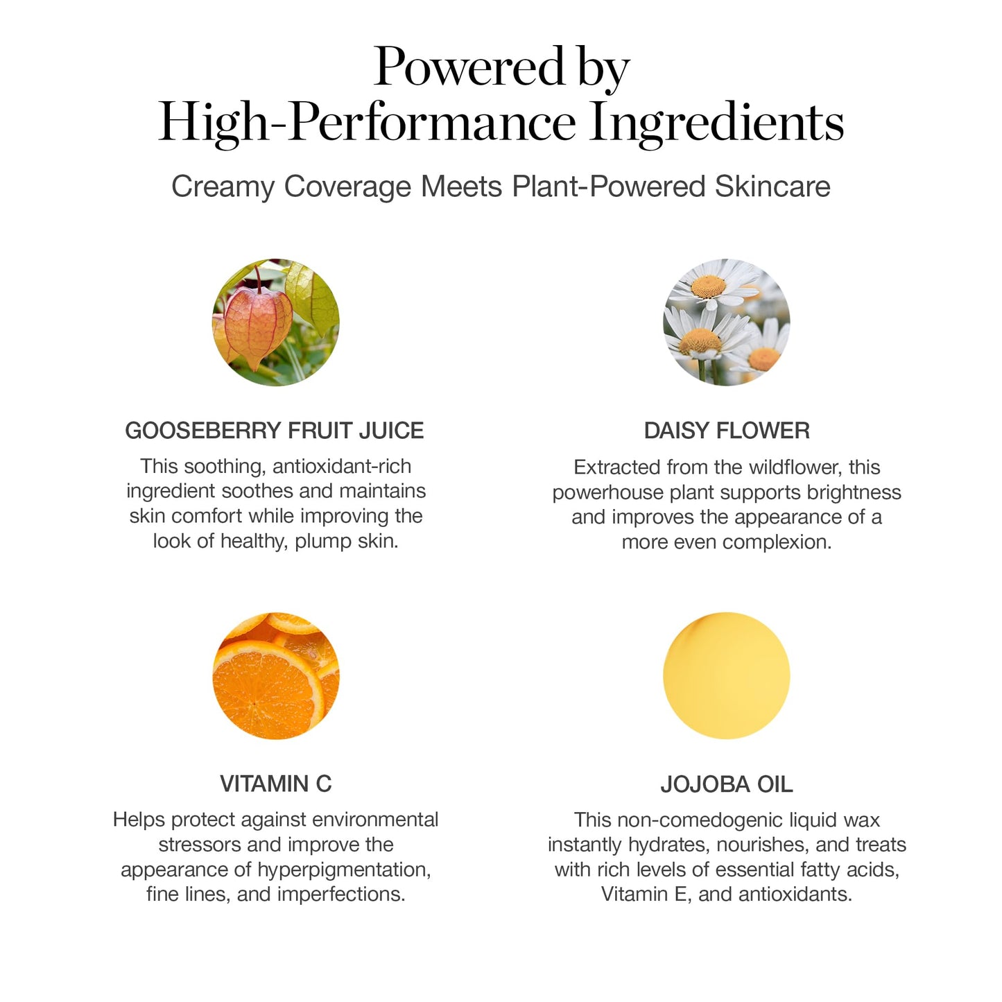 Ogee Complexion Perfecting Liquid Foundation - Lightweight Tinted Moisturizer For Face (Cedar 1.20C - Fair, Pink-Beige Undertones) - with Vitamin C & Jojoba Oil - Certified Organic & Made in USA