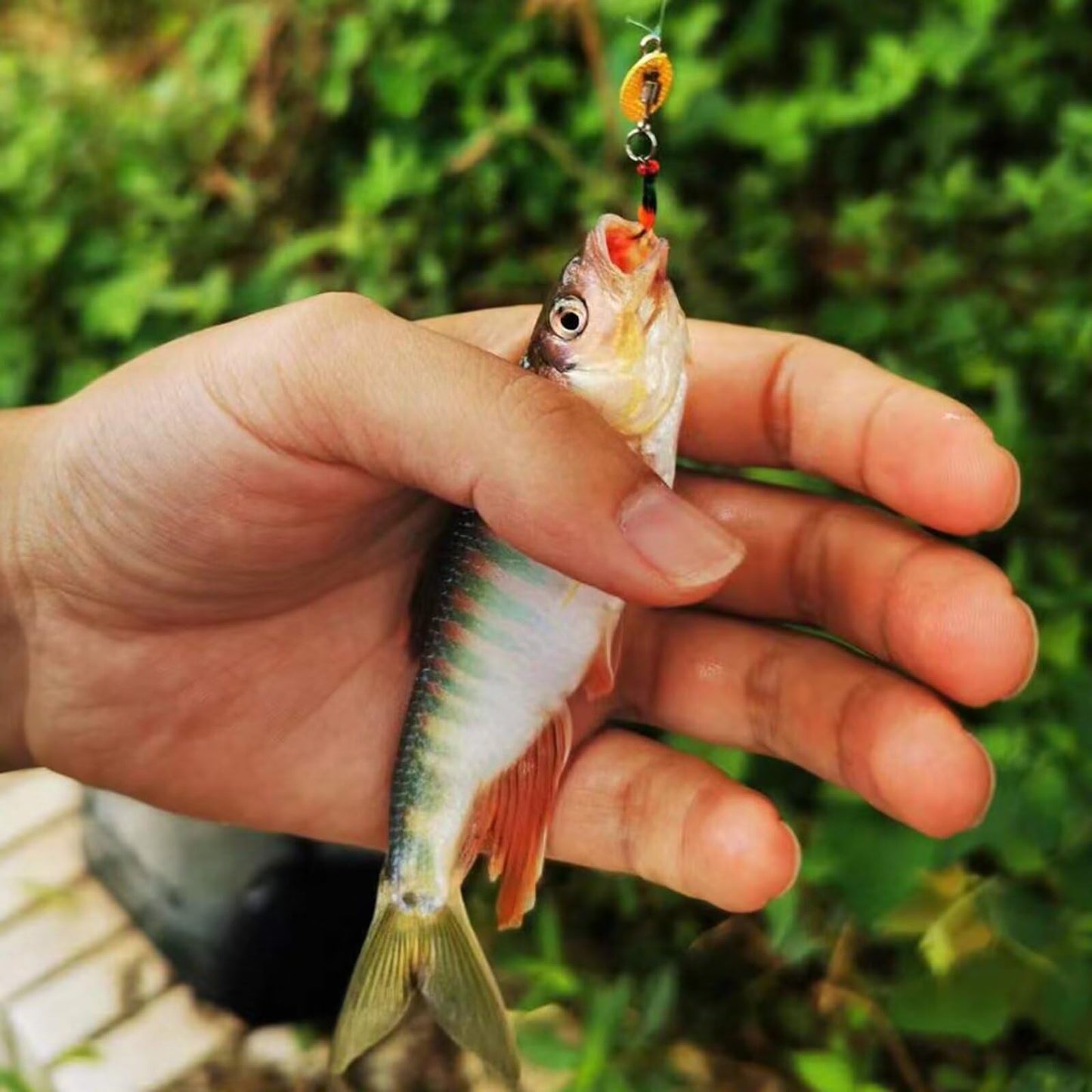 Dovesun Fly Fishing Lures Fly Fishing Flies Wet Fishing Flies Fishing Lures with Fishing Spinner for Bass Sunfish, Pike Hook 14# 5pcs