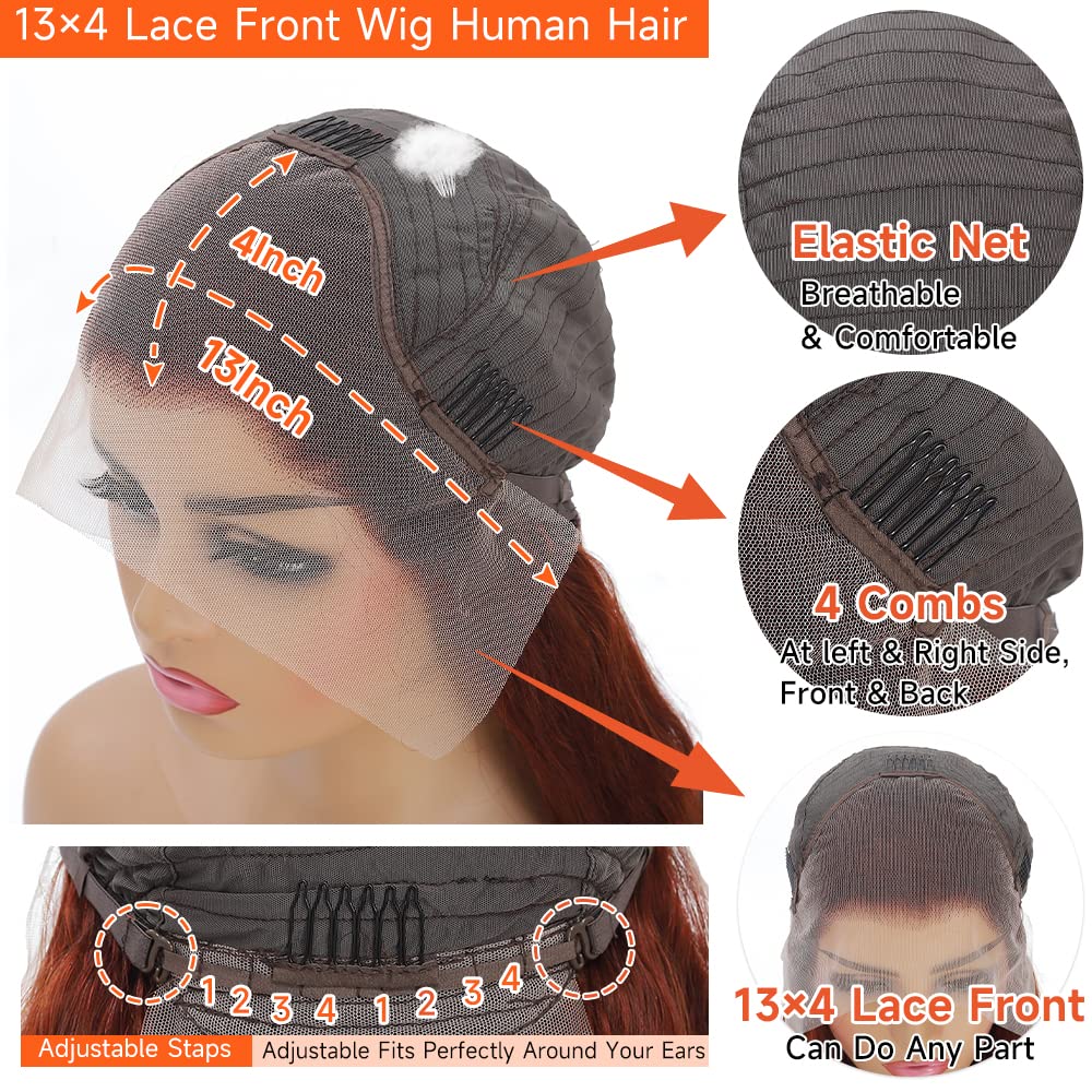 Reddish Brown Lace Front Wigs Human Hair Pre Plucked 13x4 Auburn Colored Human Hair Lace Front Wigs Body Wave Glueless Wigs Human Hair HD Lace Frontal Human Hair Wig 22 Inch