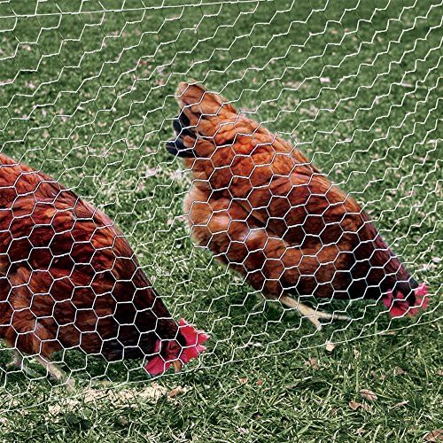 YARDGARD 308475B 3 Foot x 50 Foot 2" Mesh Poultry Netting