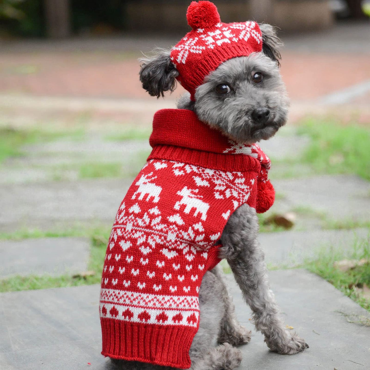 HRTTSY Dog Christmas Sweater Scarf and Hat Set for Small Dogs Cute Ugly Xmas Reindeer Snowflakes Puppy Cat Winter Clothes Soft Warm Fall Kitten Puppy Sweatshirt Pet Costume Chihuahua Outfits(Red,L)