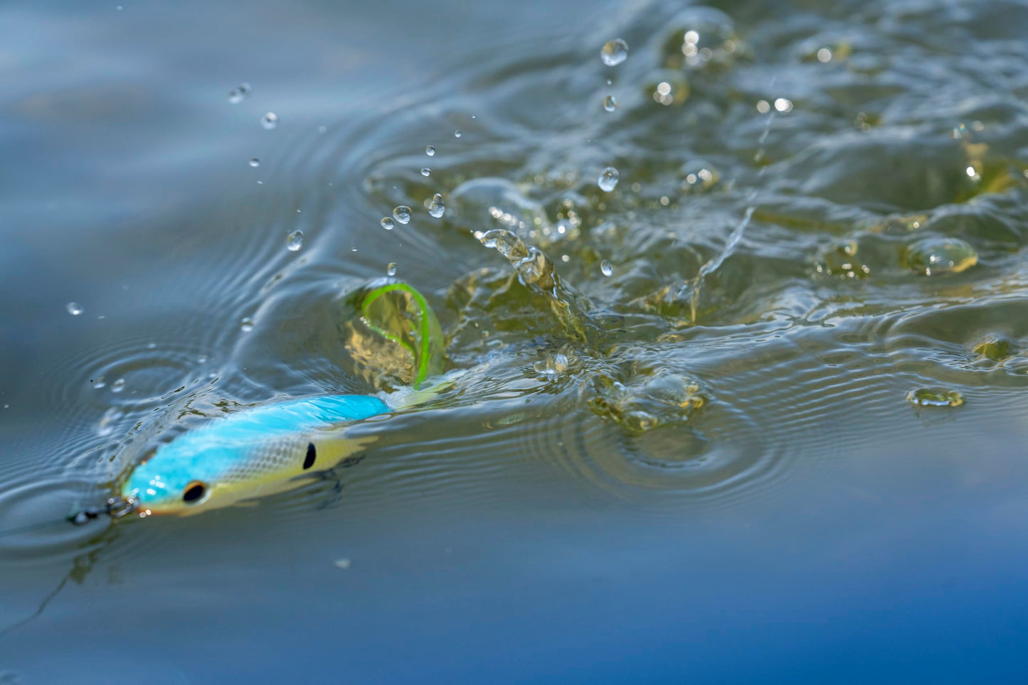 Berkley Choppo Topwater Fishing Lure, Ghost Bluegill, Size 90, Cupped Propeller Tail for Balance of Sound and Spray, Equipped with Sharp Fusion19™ Hook