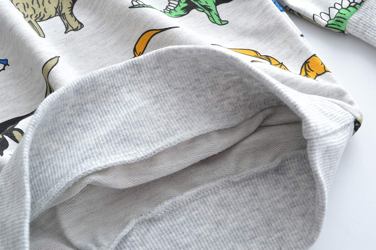 Boys Dinosaur Fleece Sweatshirt Long Sleeve Cotton Crewneck Dinosaur Clothes for Boys Winter Warm Pullover Grey Sweater 4t/8011
