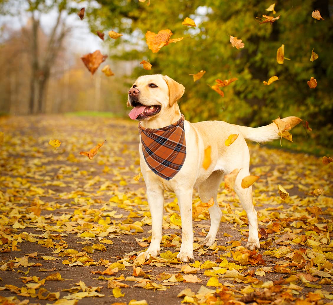 YUANKEXIANG Fall Bandana for Dogs 2 Pack - Christmas Pet Triangle Scarf Classic Plaid Reversible Bibs Kerchief Saliva Towel Set Pet Costume Accessories for Small Medium Large Dogs Cats