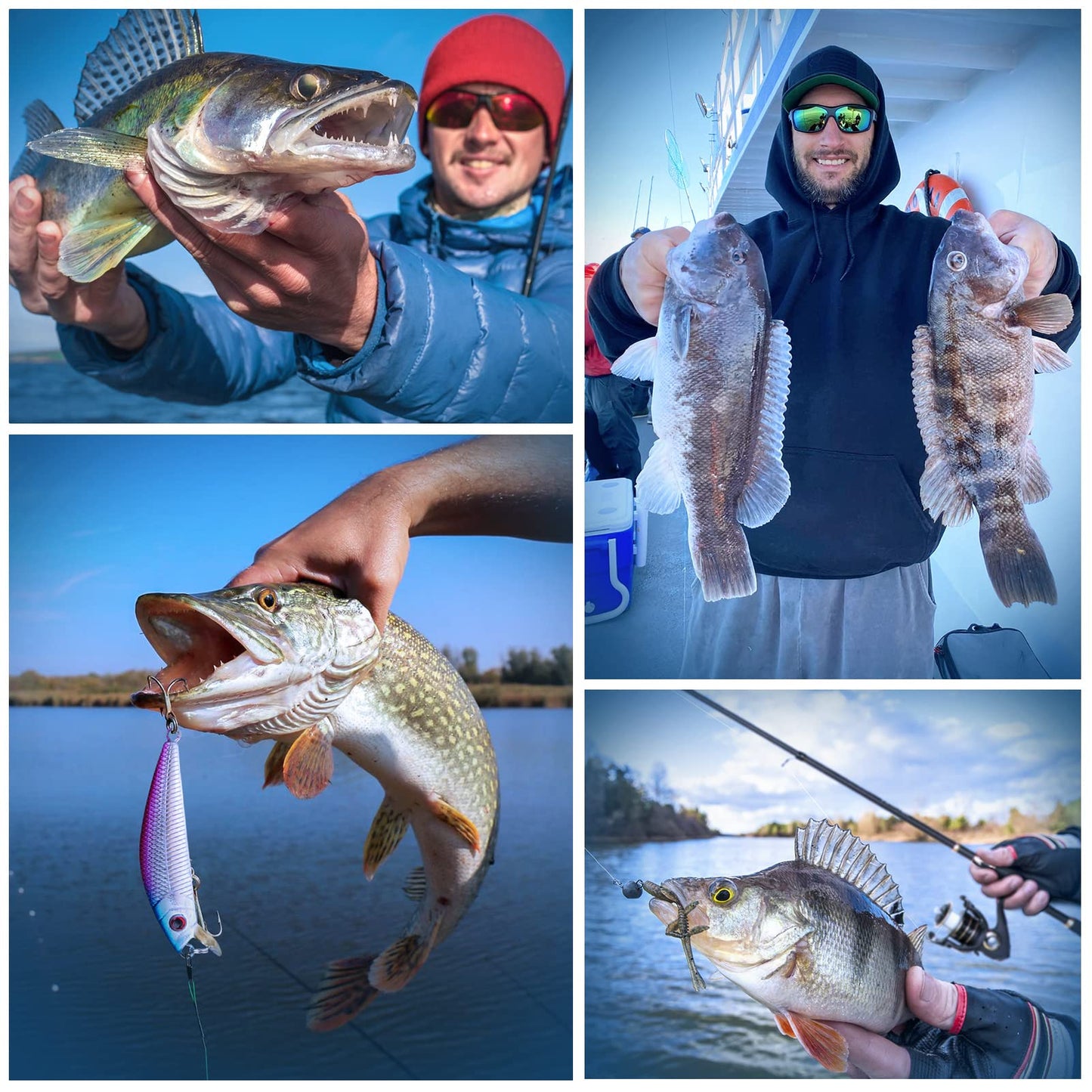 PLUSINNO Fishing Rod and Reel Combo,Fishing Pole,Telescopic Fishing Rod Kit with Spinning Reel, Telescopic Fishing Pole with Carrier Bag for Freshwater Saltwater for Men Women