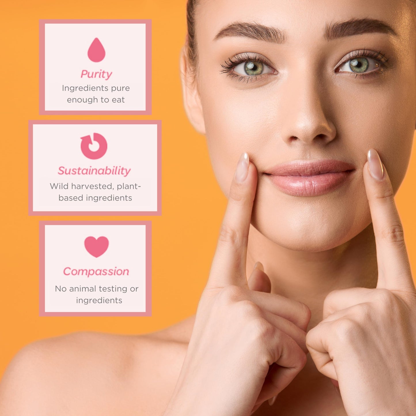 Ellovi Natural Lip Butter Lip Balm - Ginger Lemon - Pure Enough to Eat - Made With Just 6 Vegan Ingredients - 100% Natural & Organic Moisturizing Lip Care for All Day Hydration (2-Pack)