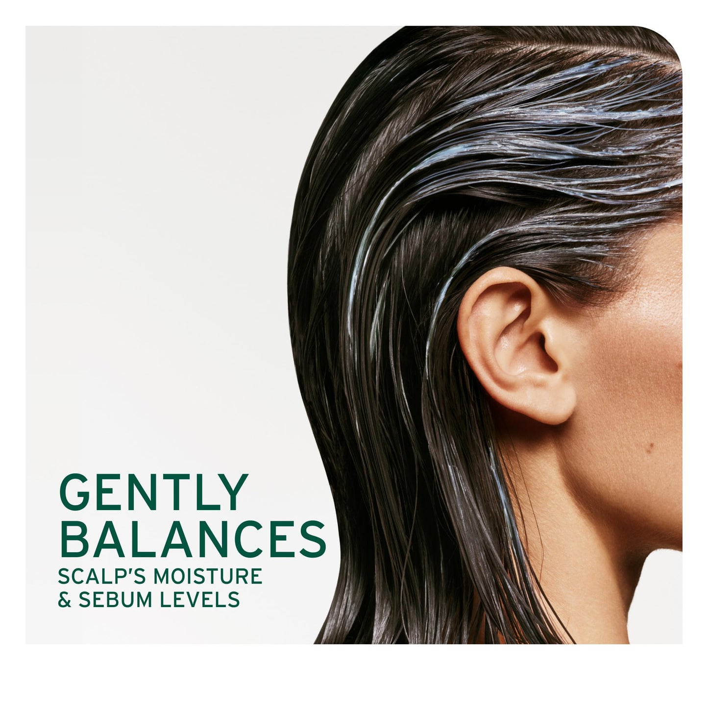 Biolage Scalp Sync Anti-Dandruff Shampoo - Controls Dandruff & Deeply Cleanses, With Zinc Pyrithione, Vegan & Cruelty-Free, 16.9 Fl Oz, Packaging may vary