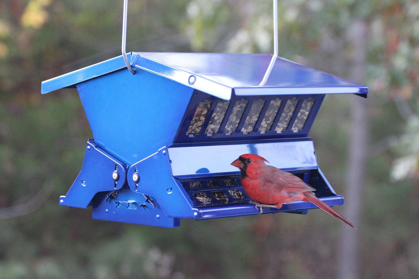 Heritage Farms Electric Blue Absolute II Squirrel Proof Bird Feeder
