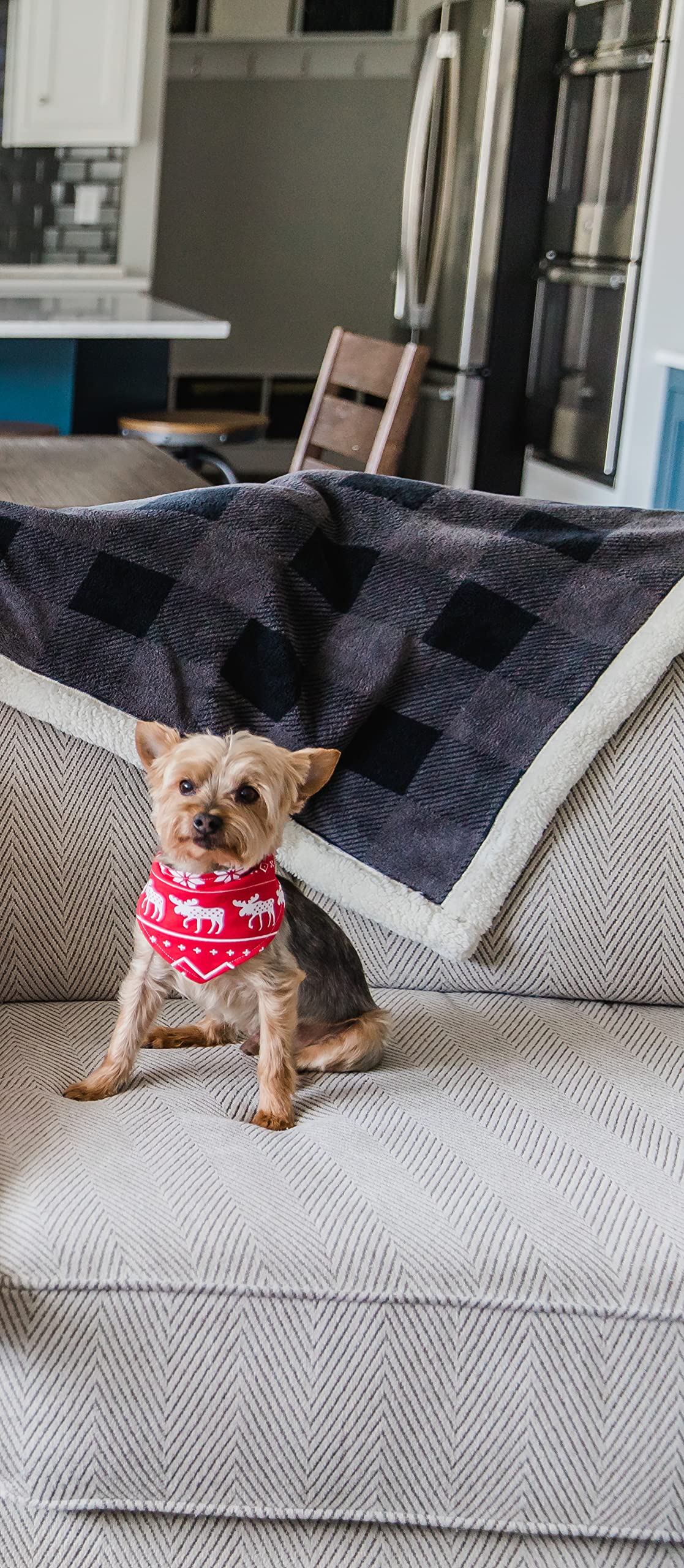 Lazy One Reversible Dog Bandana, Cute Accessories for Pets, Moose, Bear, Winter (Medium/Large, Nordic Dog)