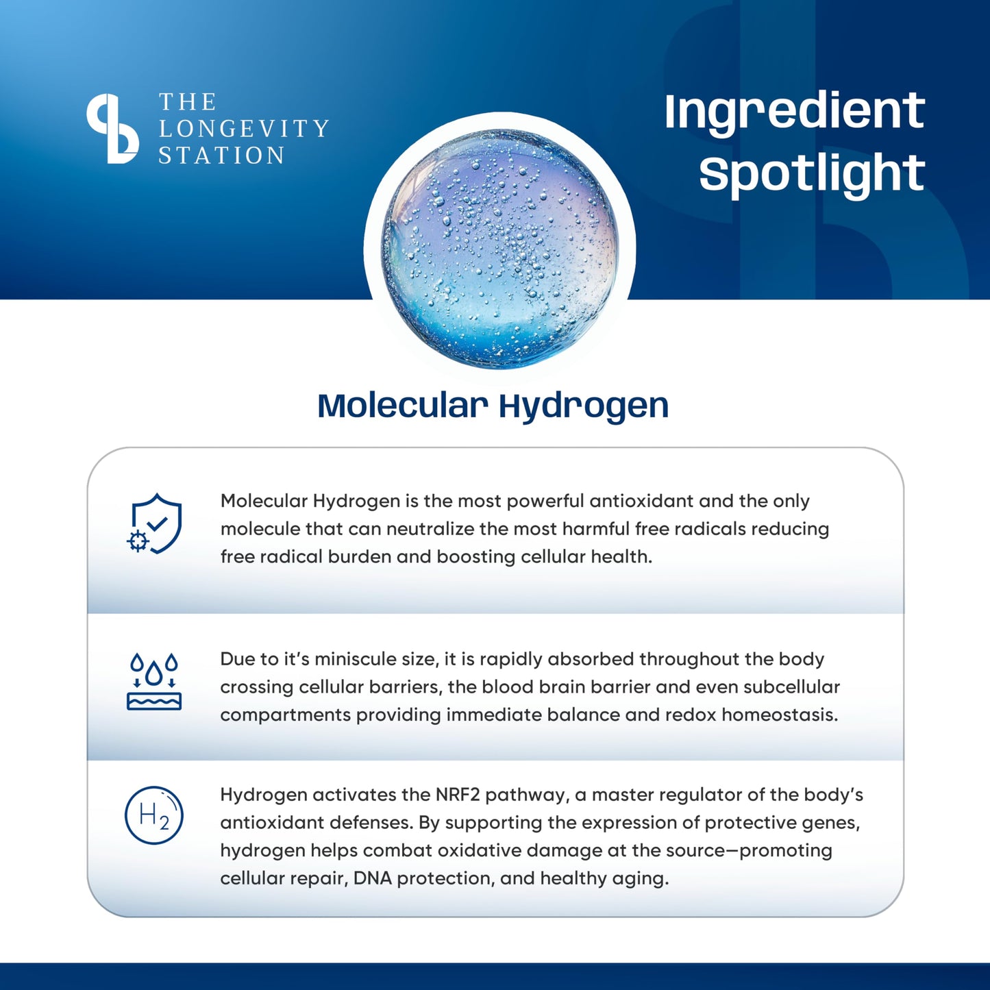 The Longevity Station Hydrogen Water Bottle – Up to 8.00 PPM Hydrogen-Rich Water, World’s Strongest Antioxidant, Anti-Aging & Anti-Inflammatory Benefits, Portable SPE/PEM Tech for Optimal Hydration