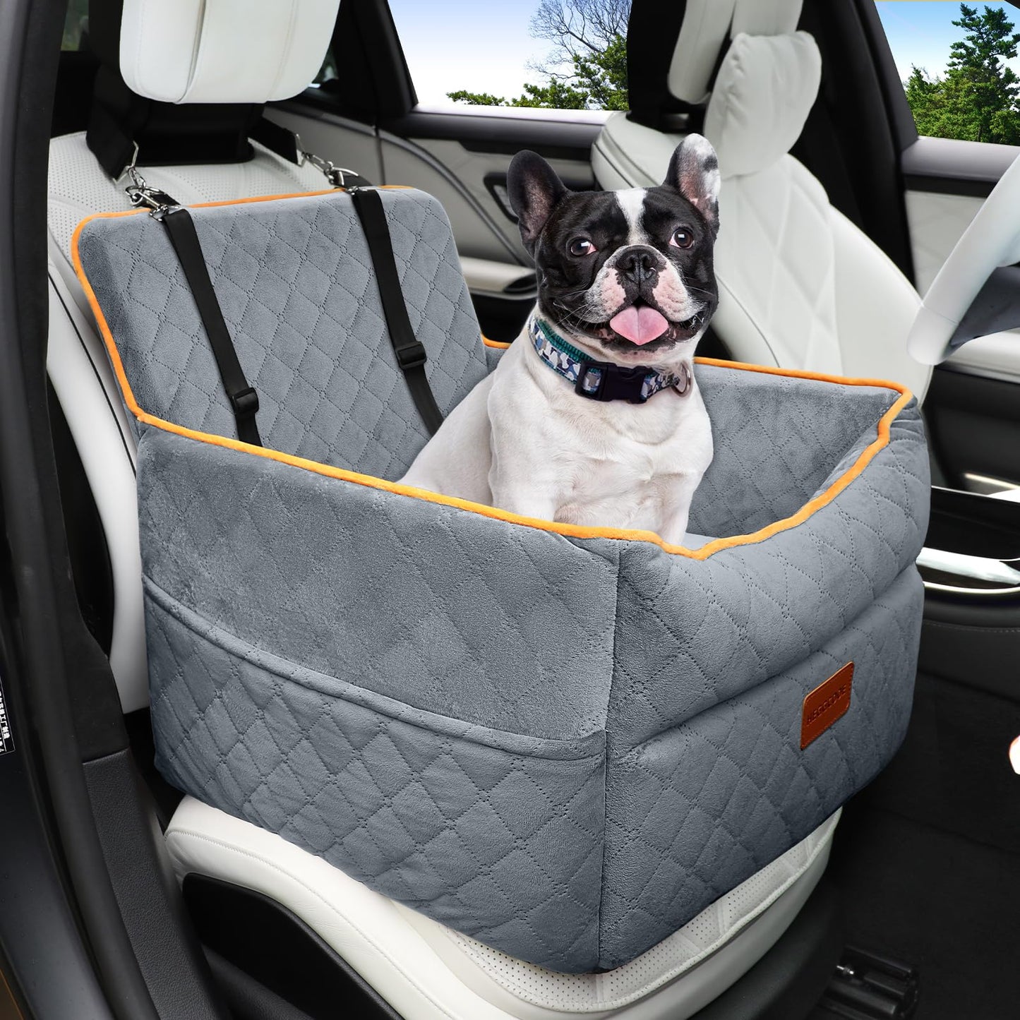 HEGGCOOE Dog Car Seat for Small Medium Dogs, Memory Foam Puppy Dog Booster Seat with Thick Cushion for Dogs Under 35lbs, Detachable Washable Pet Car Seat Travel Bed with Storage Pockets,2 Safety Belts