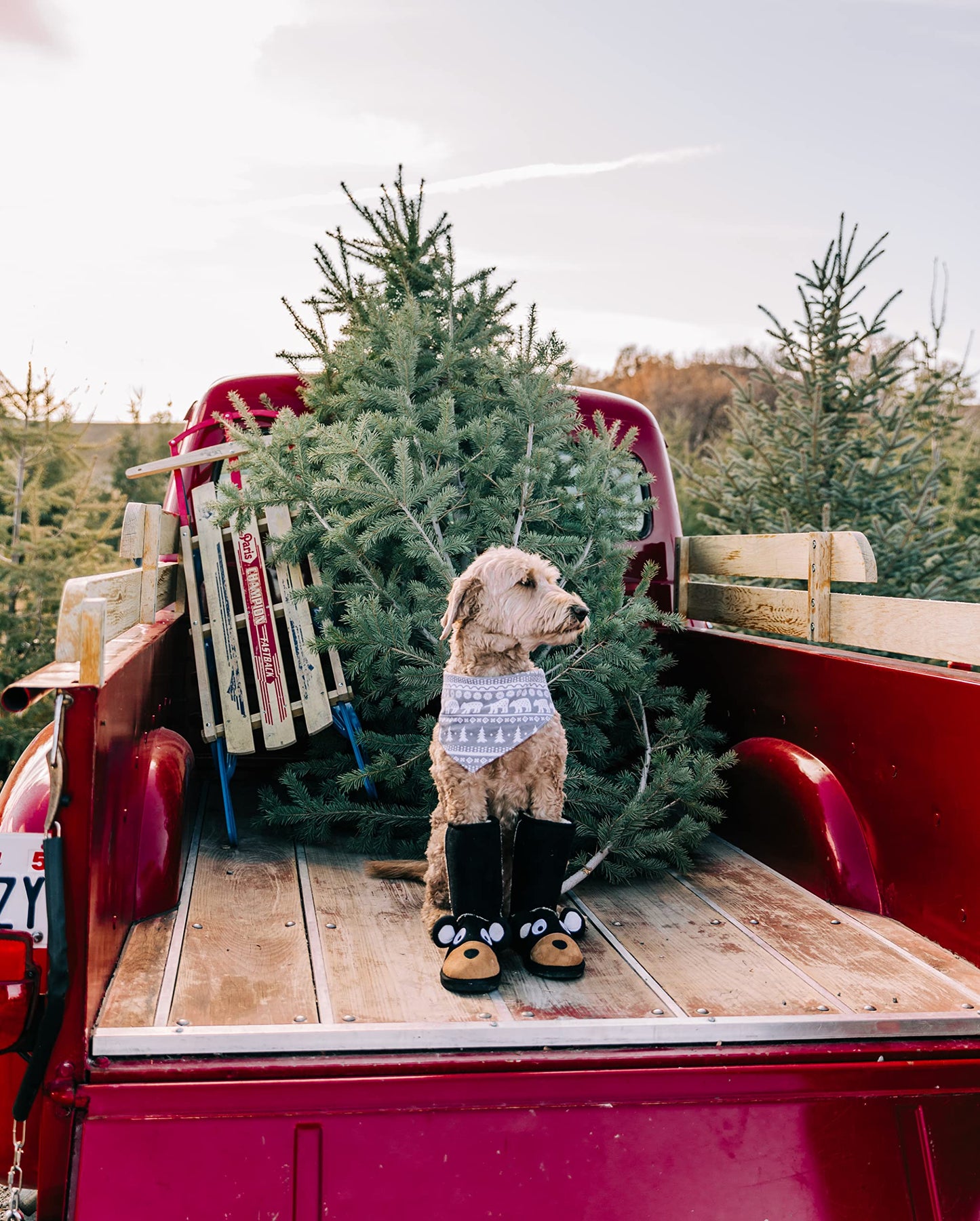 Lazy One Reversible Dog Bandana, Cute Accessories for Pets, Moose, Bear, Winter (Medium/Large, Nordic Dog)