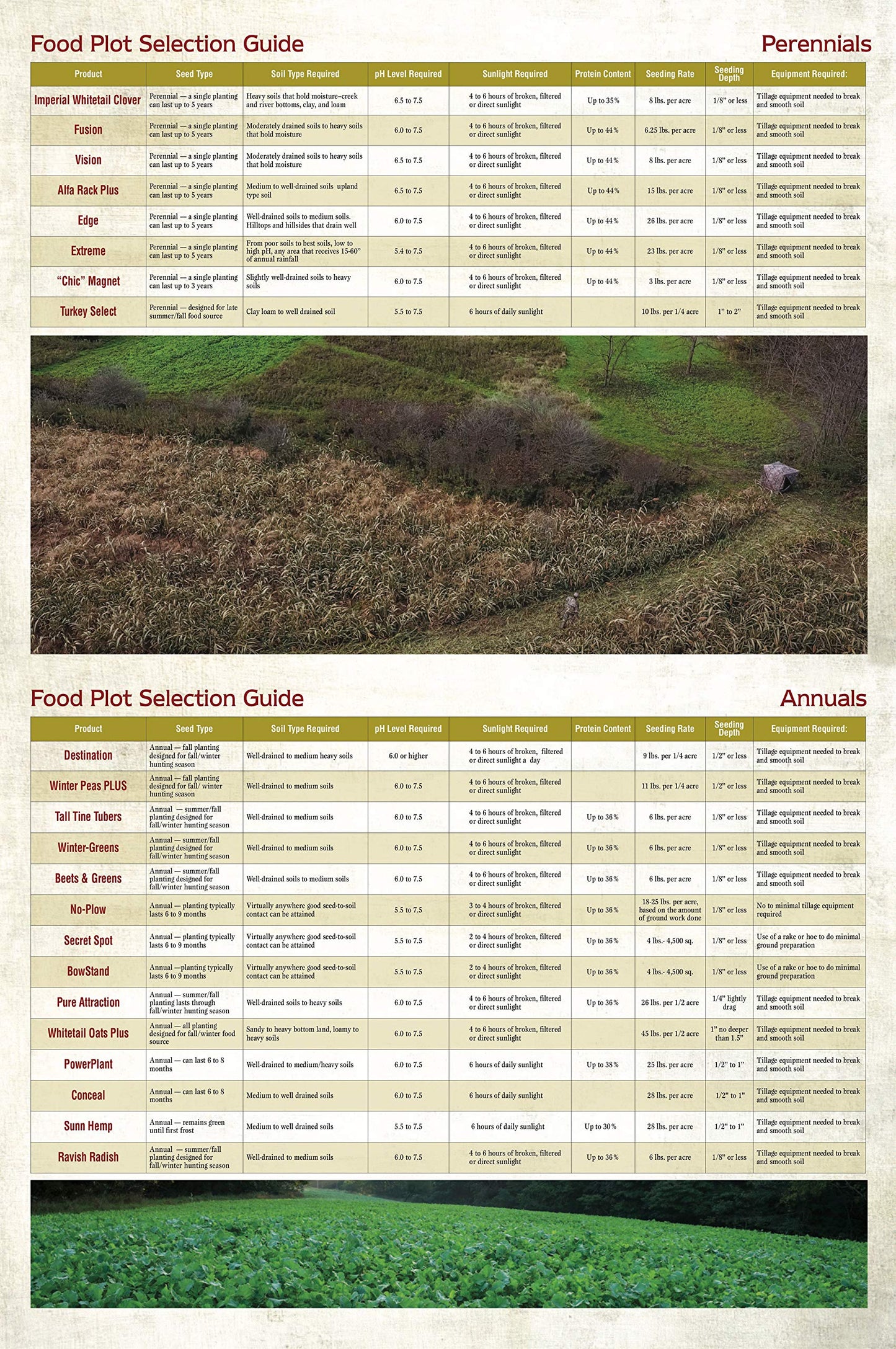 Whitetail Institute Ravish Radish Deer Food Plot Seed, High Production Annual Forage Radish Seed Varieties to Attract and Hold Deer Throughout Fall and Winter, 2.5 lbs (.25 Acre)
