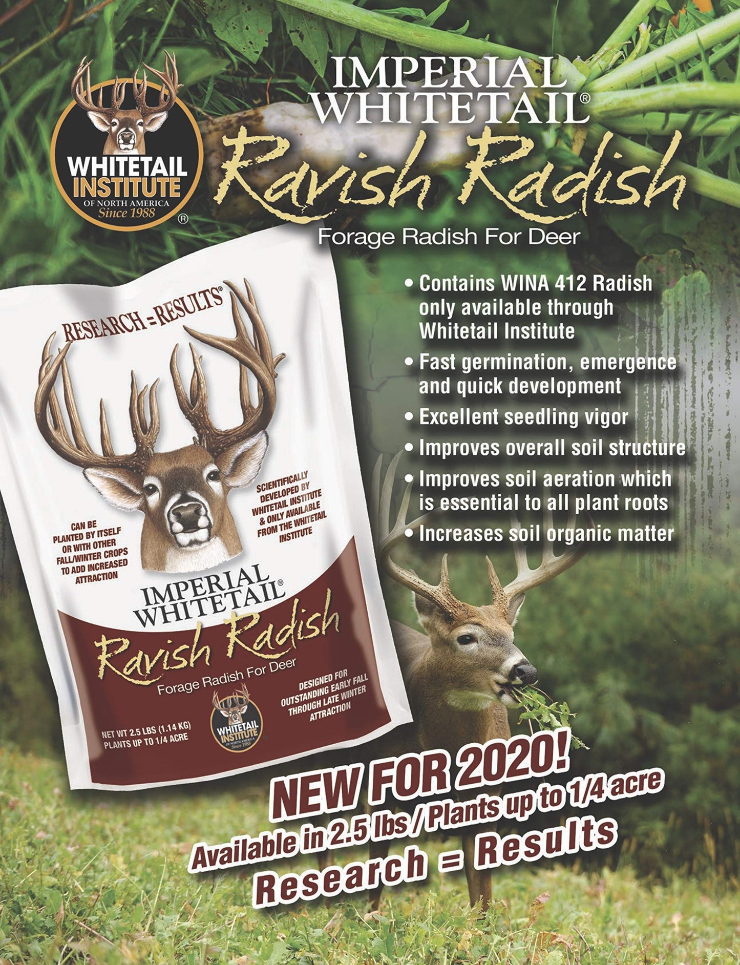 Whitetail Institute Ravish Radish Deer Food Plot Seed, High Production Annual Forage Radish Seed Varieties to Attract and Hold Deer Throughout Fall and Winter, 2.5 lbs (.25 Acre)