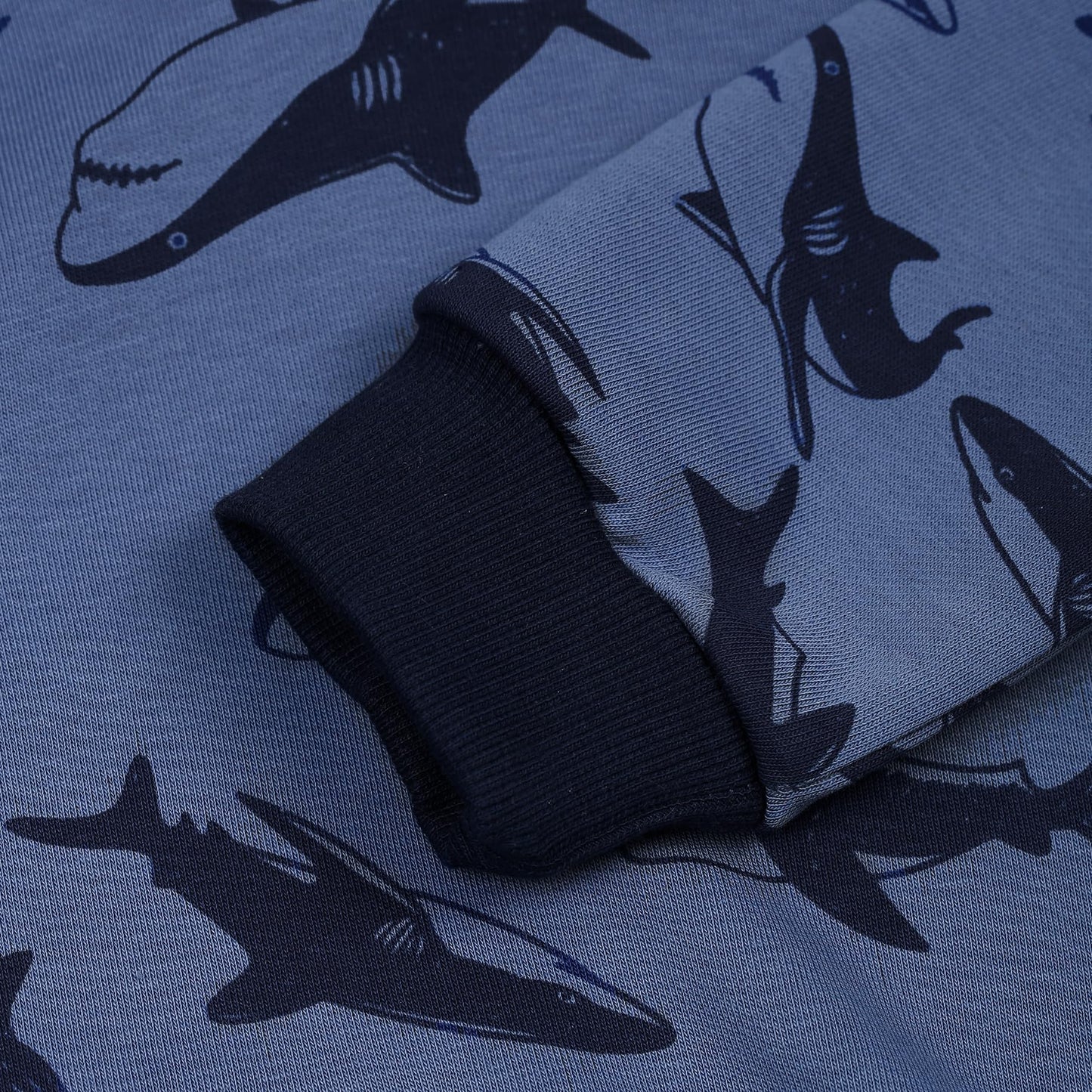 Akyzic Baby Boys Shark Hoodie Sweatshirt Toddler Long Sleeve Cotton Pullover Shirts Kids Winter Warm Sweater Tops shark-8222-4T