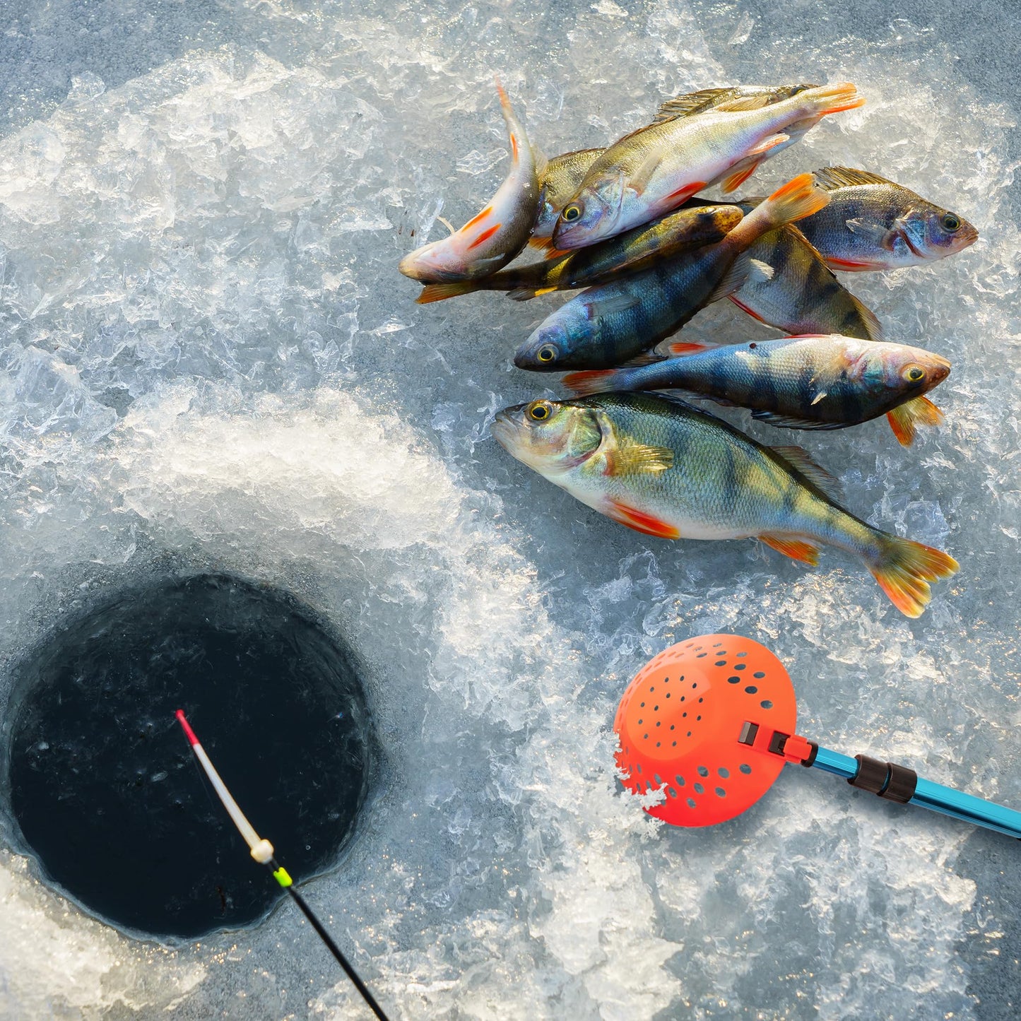 Sfcddtlg Adjustable Ice Fishing Skimmer Scoop- 33.4 Inch Winter Ice Fishing Scooper with Long Handle- Ice Fishing Gear for Scooping Out Ice While Fishing (Blue)