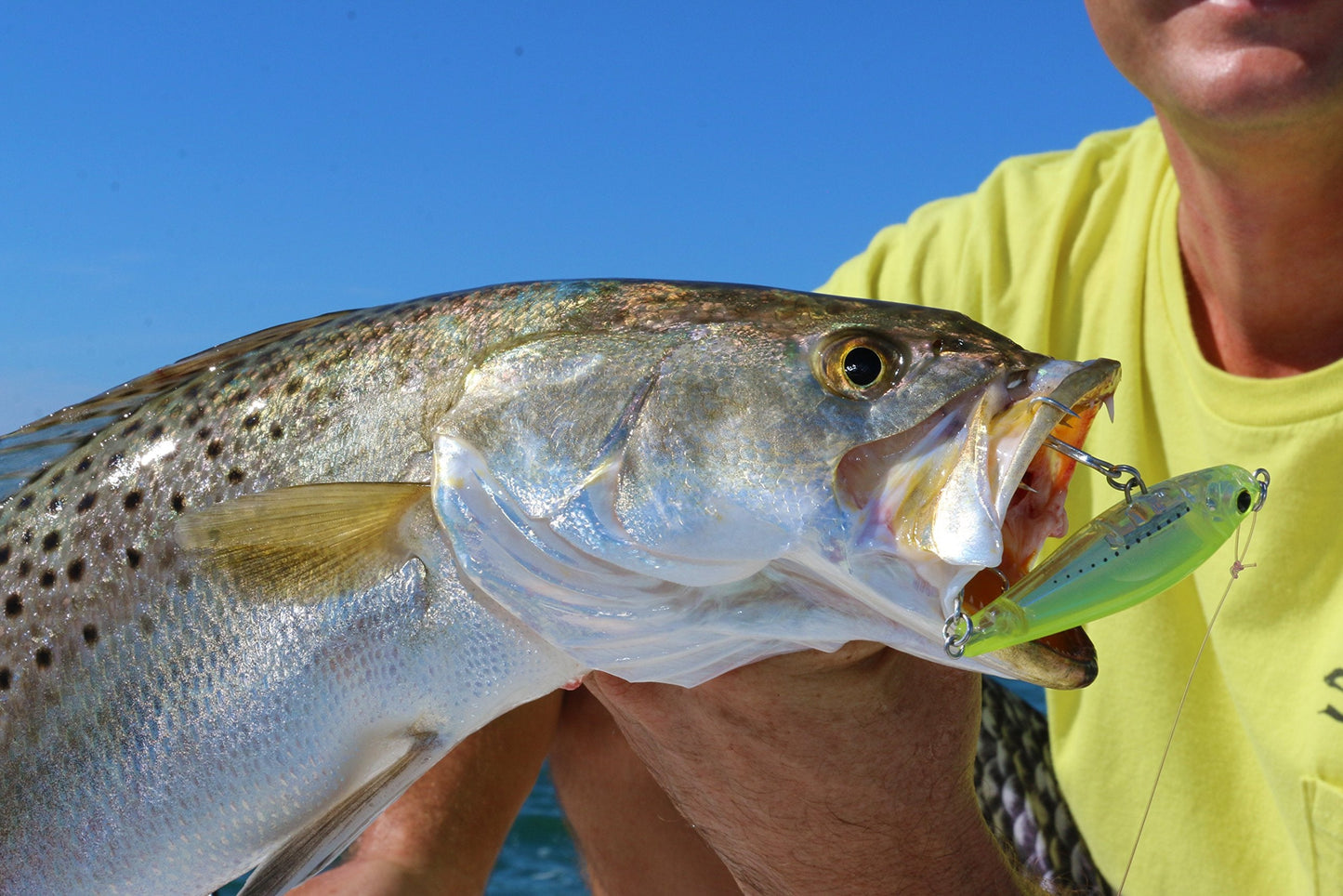Yo-Zuri R1207-C4 3D Inshore Twitchbait, Color, Silver Black, 70mm 2-3/4"