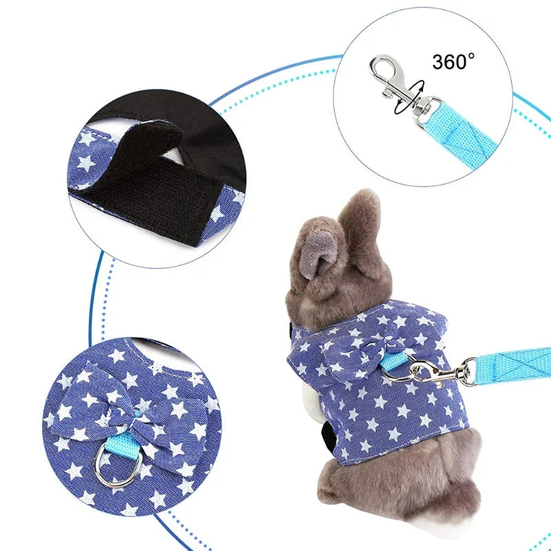 Bunny Harness and Leash Set
