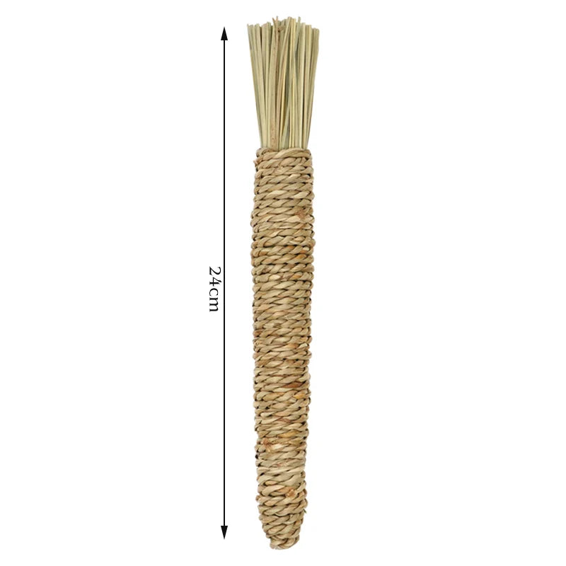 Toy Organic Apple Wood Chew