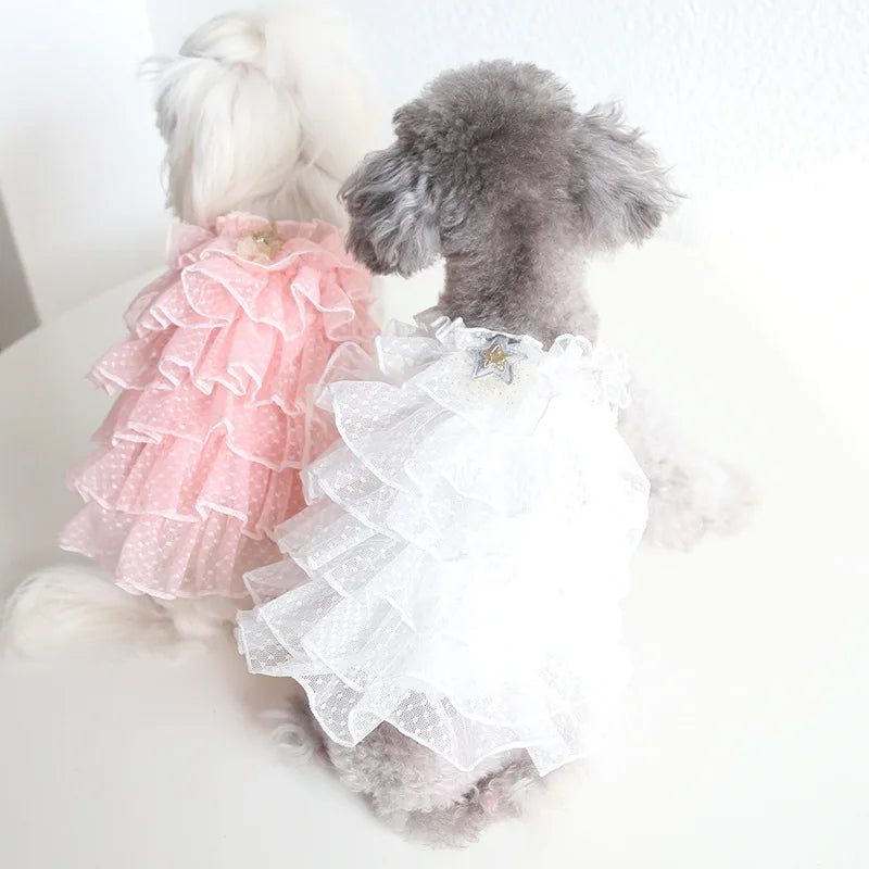 Cat Spring/summer Dress
