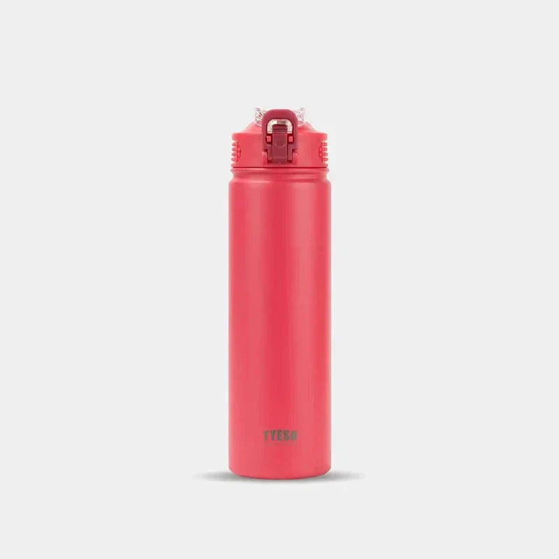 Tyeso Insulated Water Bottle with Straw ( Stainless Steel )