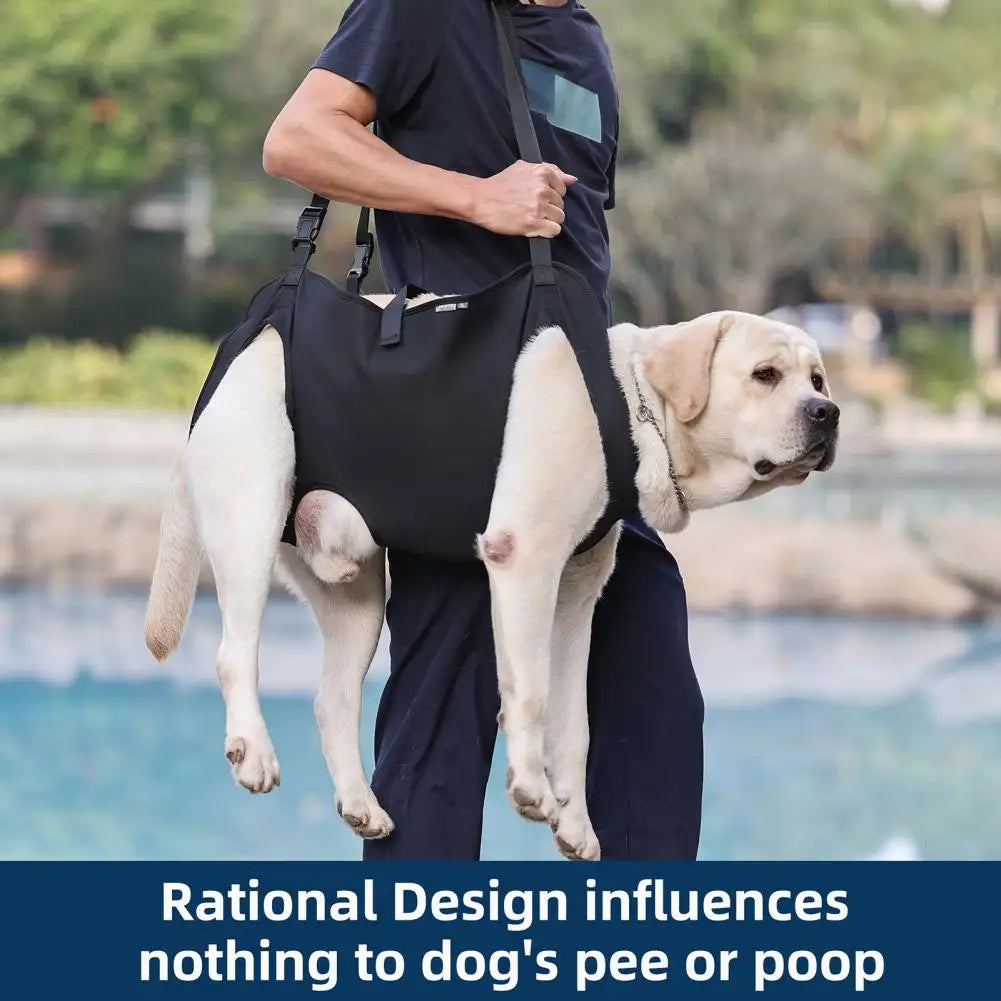 Senior Dog Support Harness