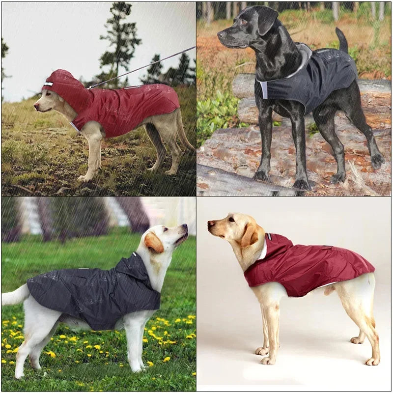 Waterproof Reflective Dog Raincoat
